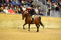 68 HA/AA Hunter Pleasure JTR 14 & Under