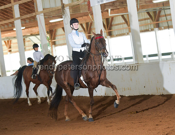 084_2532-Do_not_copy_PROOF
