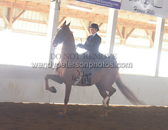 013_1839-Do_not_copy_PROOF