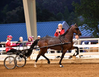 21. Roadster Horse to Bike, Am. Stake