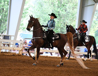 94. ASB Western Country Pleasure, Adult Am./Jr. Exh. Champ.