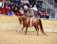 23 HA/AA Western Pleasure Ladies & Gents