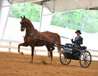 9. ASB Country Pleasure Driving, Adult Am./Jr. Exh.