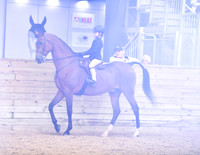16 Walk/Trot Pleasure All Seats 10 & Under