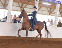 031 Saddleseat Equitation 17U