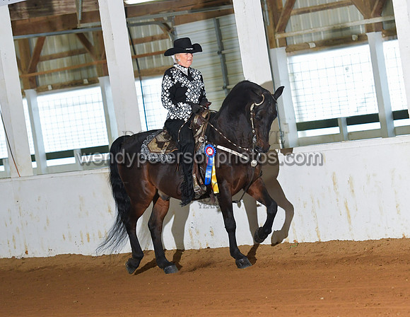 058_2638-Do_not_copy_PROOF