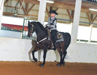 058 Morgan Western Pleasure Open Stake