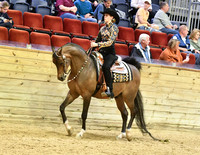 132 PB Western Pleasure JTR