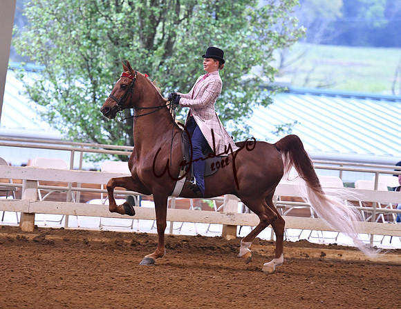 044_0472-Do_not_copy_PROOF