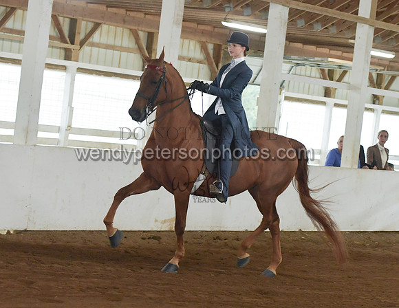 105_2645-Do_not_copy_PROOF