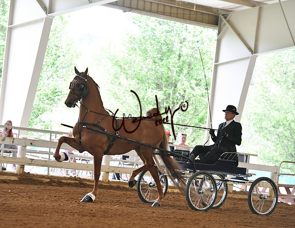 002_9684-PROOF_Do_not_copy