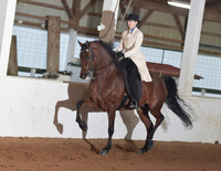 115 Morgan English Pleasure Saddle Open Stake