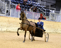 1 PB Country Pleasure Driving Open