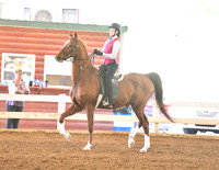 67. ETSA Member Academy Scholarship Class W/T/C, Any Age Rider