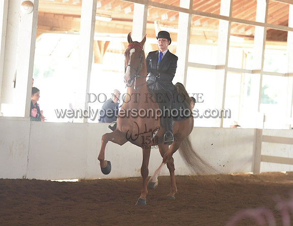 013_1838-Do_not_copy_PROOF
