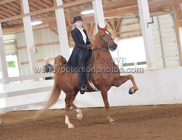 035_2124-Do_not_copy_PROOF