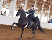 046 ASB S & B Hunt Seat Classic