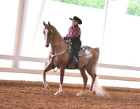 40. Western Pleasure, Open (Any Breed)