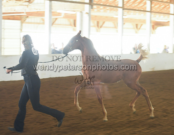 075_2252-Do_not_copy_PROOF