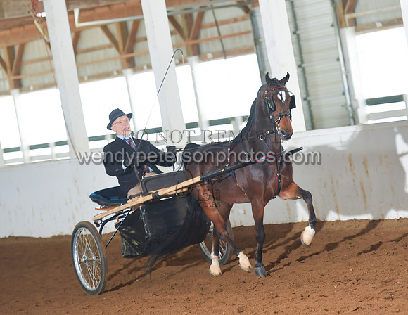 055_2354-Do_not_copy_PROOF
