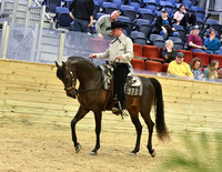 129 PB Western Pleasure Ladies & Gents