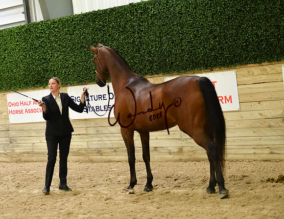 005_6334-Do_not_copy_PROOF