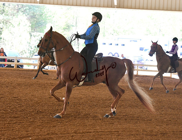 074_1252-Do_not_copy_PROOF