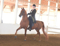 005 Cob Saddle Pleasure Jr Exhibitor 17U