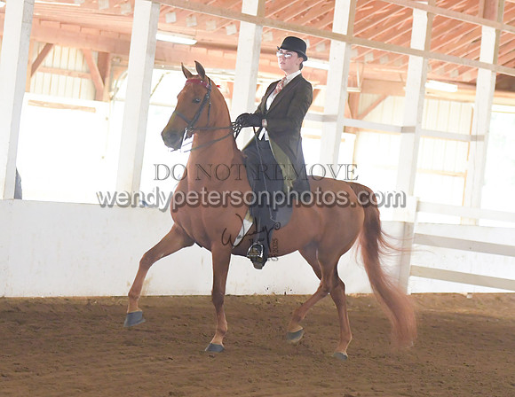 005_1583-Do_not_copy_PROOF