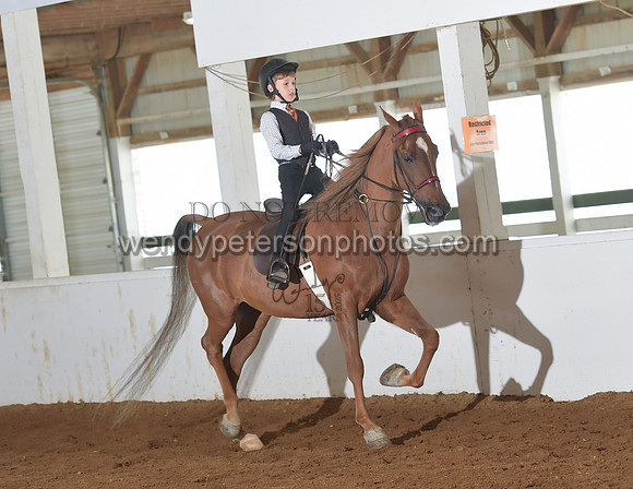 095_2602-Do_not_copy_PROOF