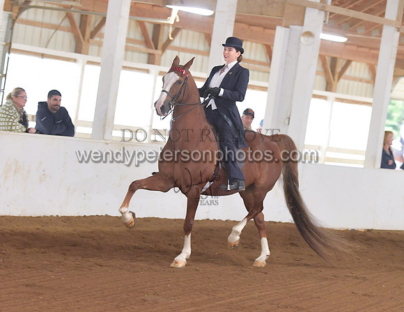 032_2060-Do_not_copy_PROOF