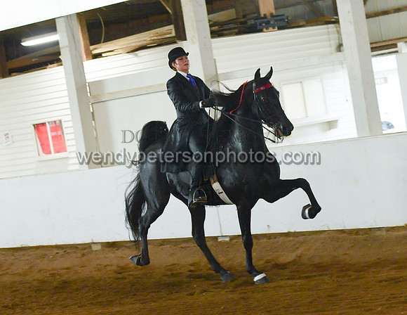120_2662-Do_not_copy_PROOF