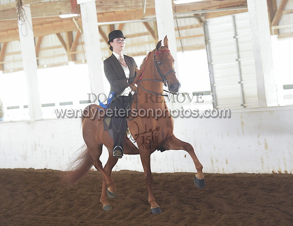 005_1609-Do_not_copy_PROOF