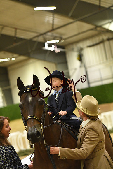 085_8419