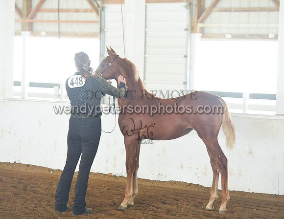 075_2246-Do_not_copy_PROOF