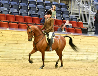 137 NSH Hunter ATR