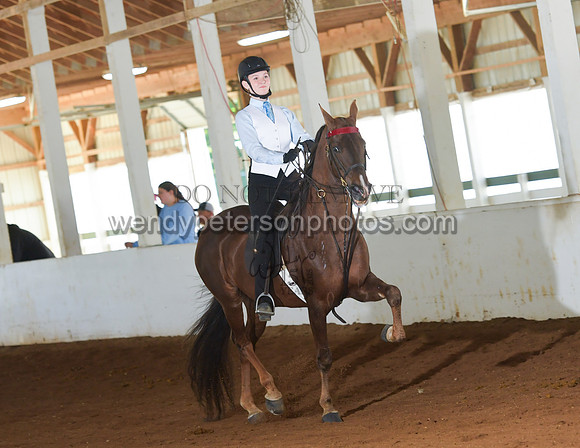 084_2538-Do_not_copy_PROOF