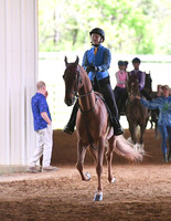 80. Academy Equitation W/T Champ., Any Age Rider
