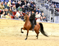 58 HA/AA Country English Pleasure Open