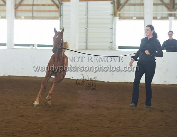 075_2263-Do_not_copy_PROOF