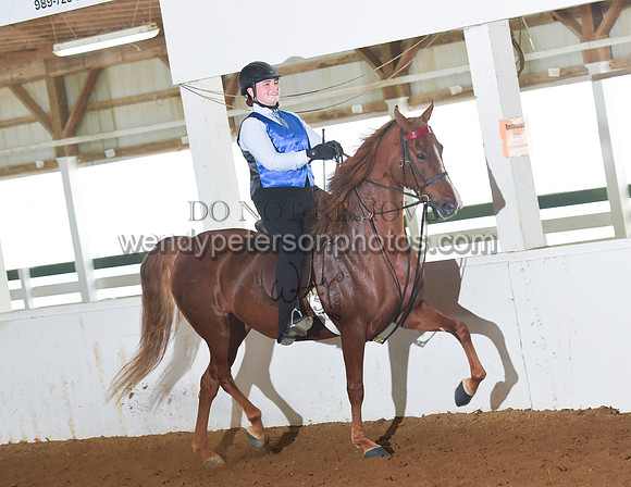 084_2542-Do_not_copy_PROOF