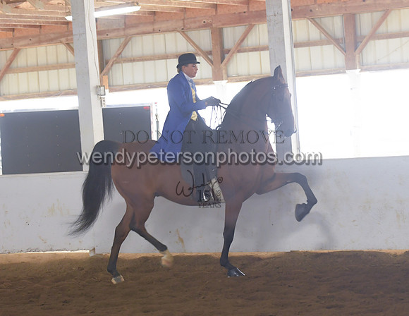 010_1805-Do_not_copy_PROOF