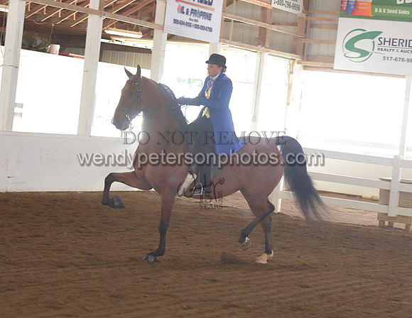 010_1756-Do_not_copy_PROOF
