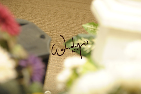 WP2_4020