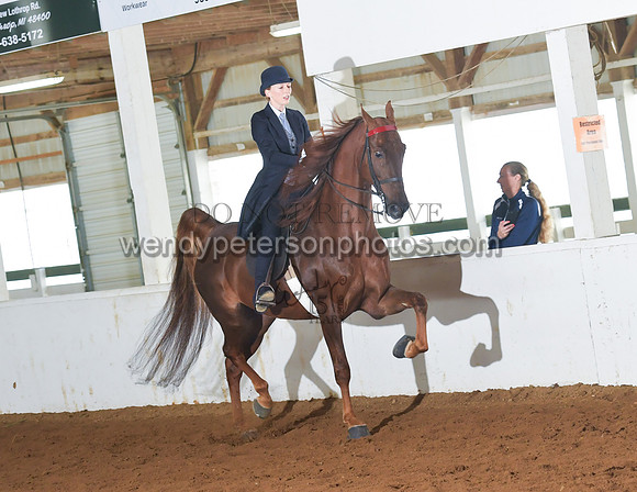 066_2387-Do_not_copy_PROOF