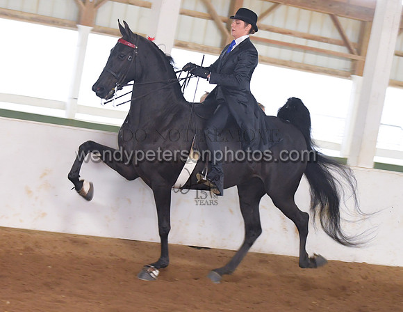 046_2154-Do_not_copy_PROOF