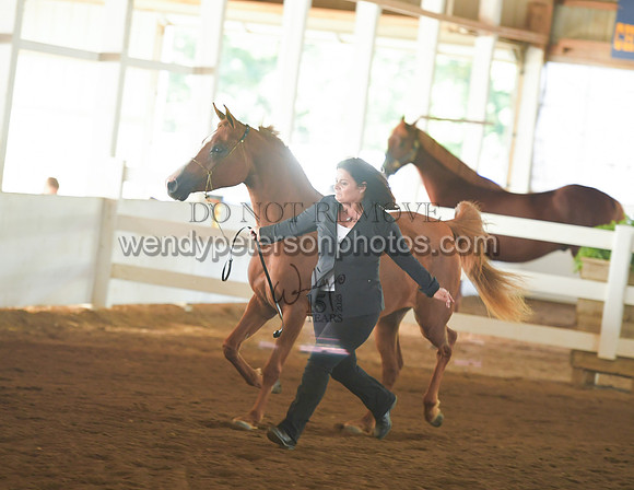 075_2229-Do_not_copy_PROOF