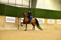 99 A HA/AA Country English Limit Horse