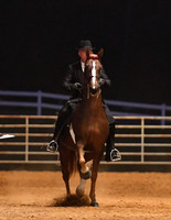 23. ASB Five-Gaited, Open