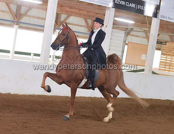 035_2119-Do_not_copy_PROOF